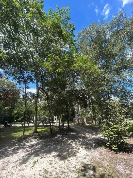 2425 SE 10TH Ave 0, Gainesville, Flórida 32641, Estados Unidos