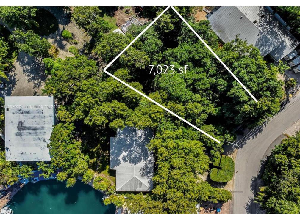 Tavernier, 佛羅里達州 33070, 美國