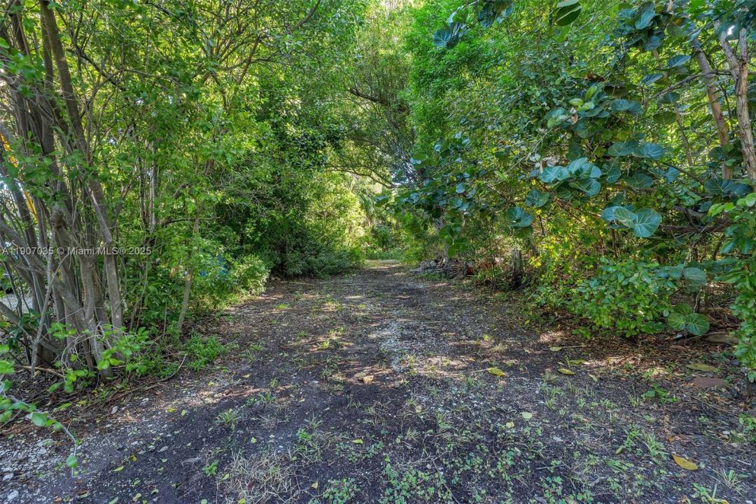 Tavernier, 佛羅里達州 33070, 美國