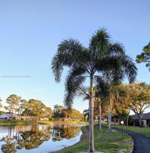 442 Pine Glen Ln D-2, Green Acres, Florida 33463, USA