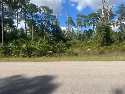 521 ROOSEVELT AVE, Lehigh Acres, Florida 33936, USA