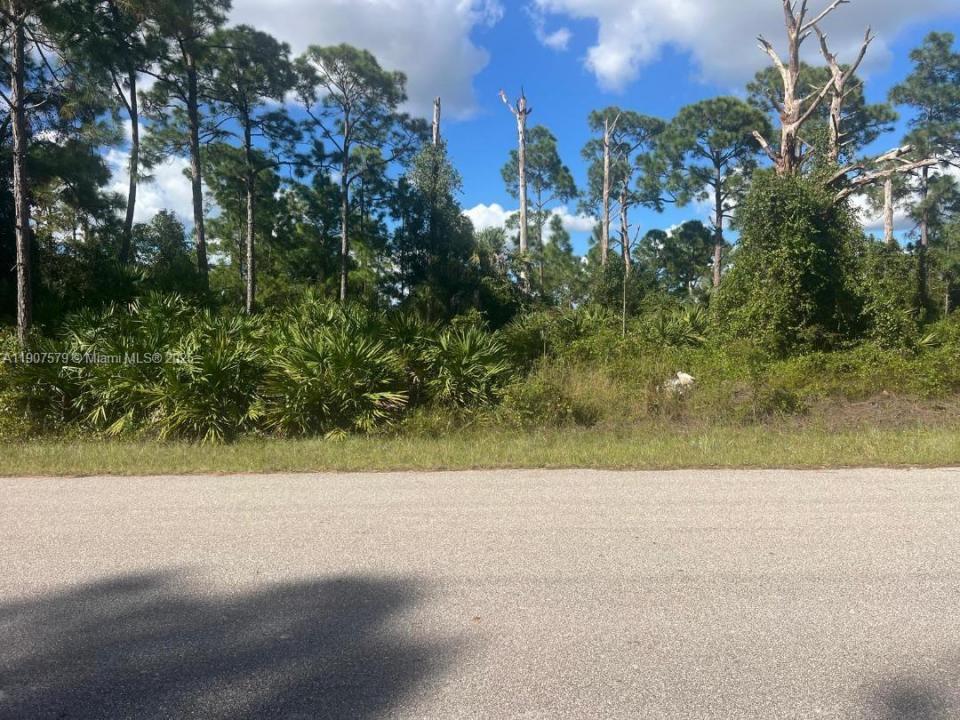 521 ROOSEVELT AVE, Lehigh Acres, Floride 33936, États-Unis
