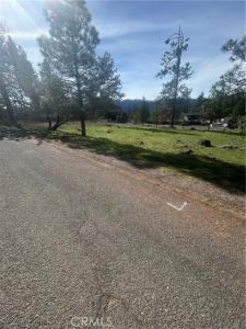 Padula, Willits, كاليفورنيا 95490, الولايات المتحدة