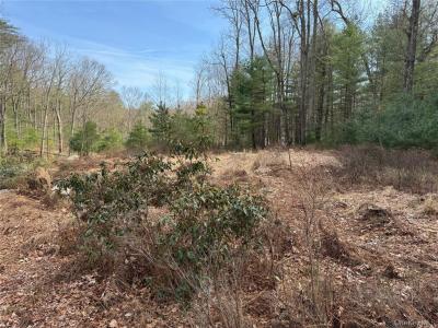 Echo Road, Mamakating, Nueva York 12721, Estados Unidos