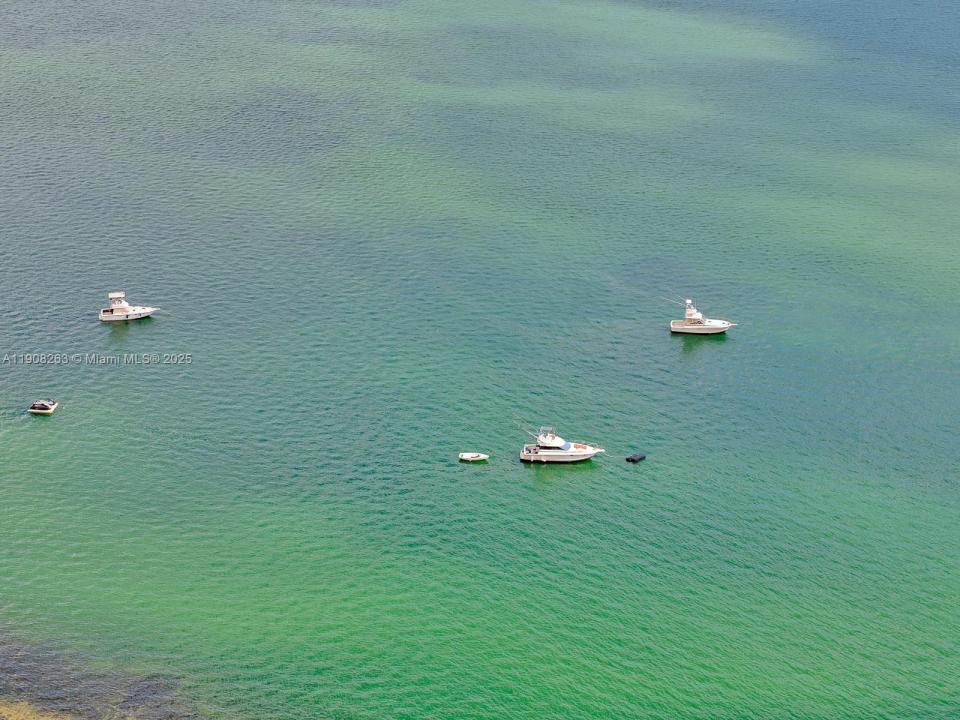 1750 N Bayshore Dr 4503, Miami, فلوريدا 33132, الولايات المتحدة