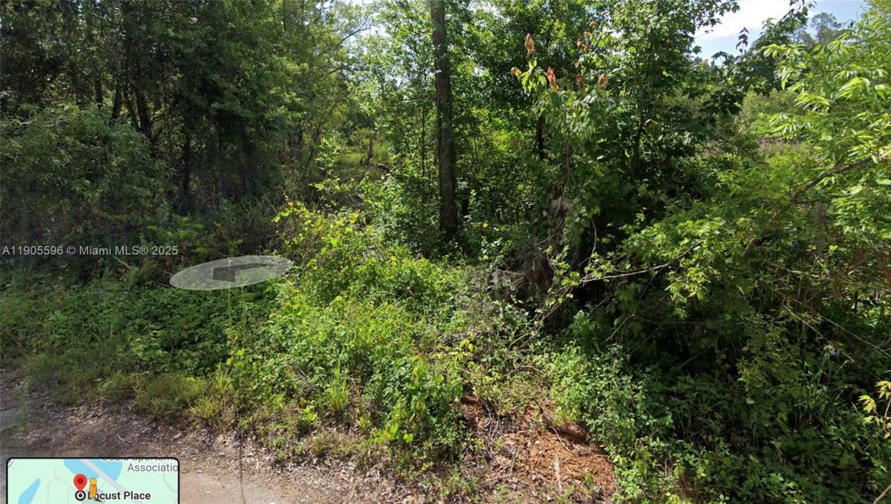 0 Locust Place, Ocala, 佛罗里达州 34472, 美国