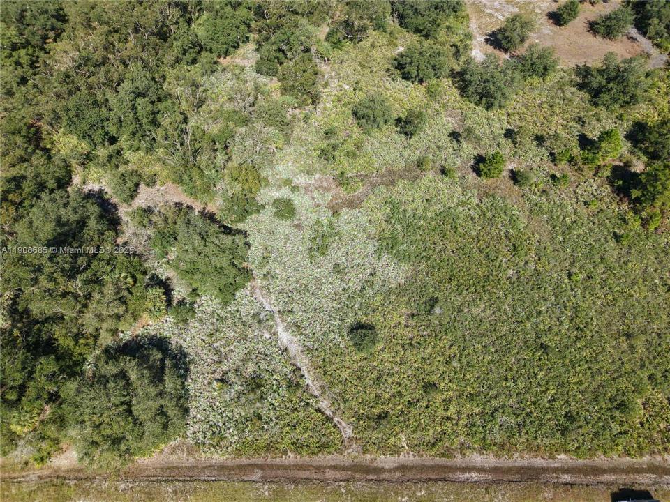 15527 NW 252ND, Okeechobee, Florida 34972, Stati Uniti