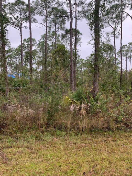 28338 Calais Ave, Punta Gorda, Floride 33955, États-Unis
