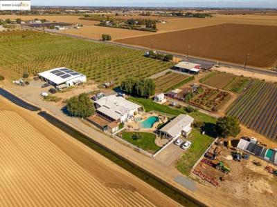 Walnut BLVD, Brentwood, 캘리포니아 94513, 미국