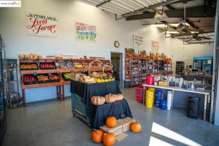 Walnut BLVD, Brentwood, 캘리포니아 94513, 미국