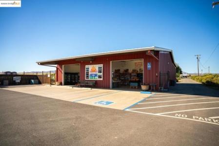 Walnut BLVD, Brentwood, 캘리포니아 94513, 미국