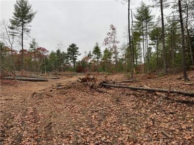 Steere Farm Road, Burrillville, Род Айленд 02830, Соединенные Штаты