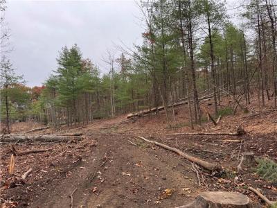 Steere Farm Road, Burrillville, Род Айленд 02830, Соединенные Штаты