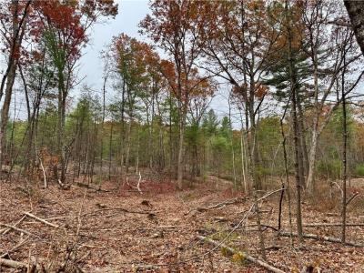 Steere Farm Road, Burrillville, Род Айленд 02830, Соединенные Штаты