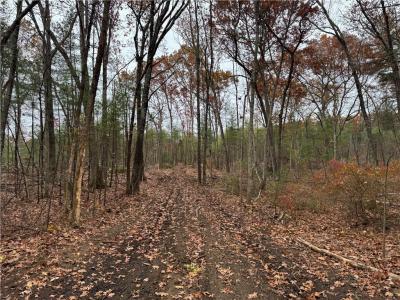 Steere Farm Road, Burrillville, Род Айленд 02830, Соединенные Штаты