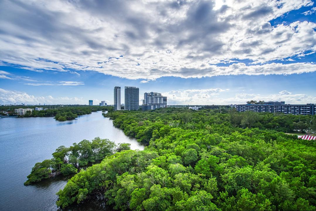 17111 Biscayne Boulevard 902, MARINA PALMS RESIDENCES, North Miami Beach, 플로리다 33160, 미국