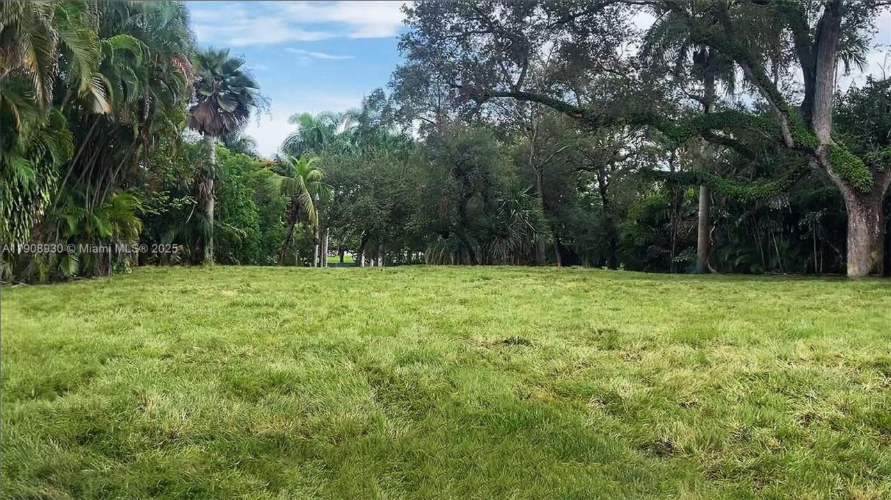 3231 Calusa St, Miami, Florida 33133
