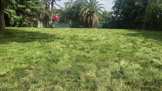 3231 Calusa St, Miami, Florida 33133