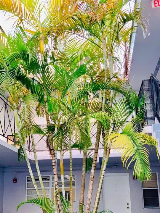 North Miami Beach, Флорида 33162, Соединенные Штаты