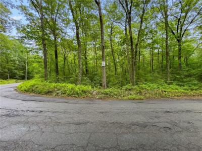 245 Reservoir Road, Smithfield, ロードアイランド 02859, アメリカ合衆国