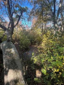 14 Lakeside Drive, Charlestown, Rhode Island 02813, USA