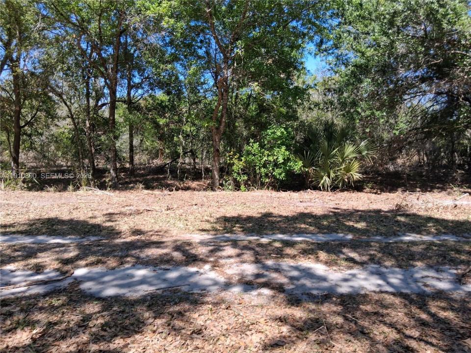 2822 W Yepremian Rd, Avon Park, Florida 33825, USA