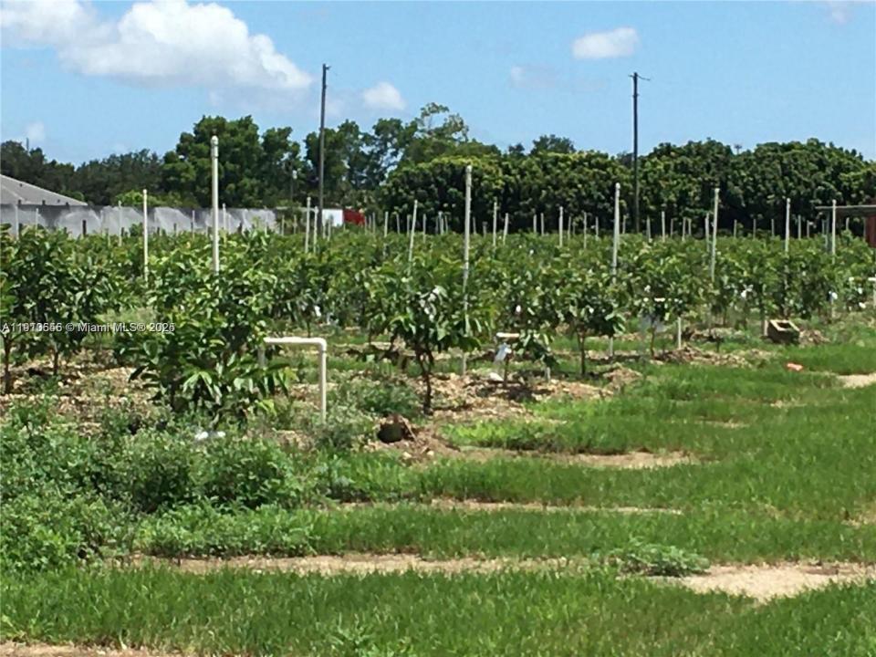 15000 SW 256 ST., Homestead, Floride 33032, États-Unis