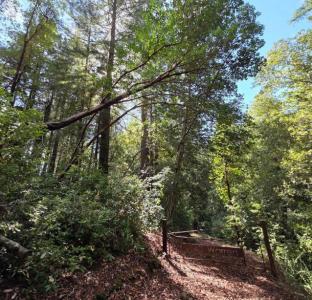 Warren Drive, Santa Cruz, 캘리포니아 95060, 미국