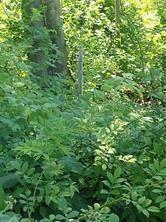 Narragansett Road, Cumberland, Род Айленд 02864, Соединенные Штаты