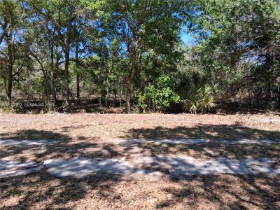 2822 W Yepremian Rd, Avon Park, Floride 33825, États-Unis