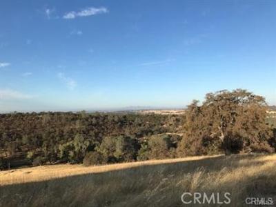 Avacado, Bangor, Califórnia 95914, Estados Unidos