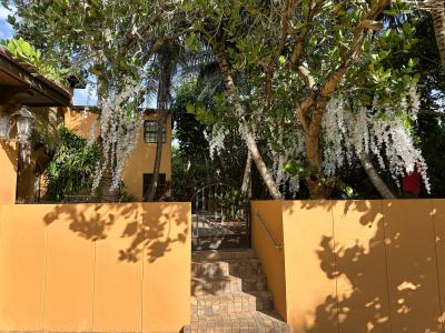 4200 N Surf Road, Hollywood, Florida 33019