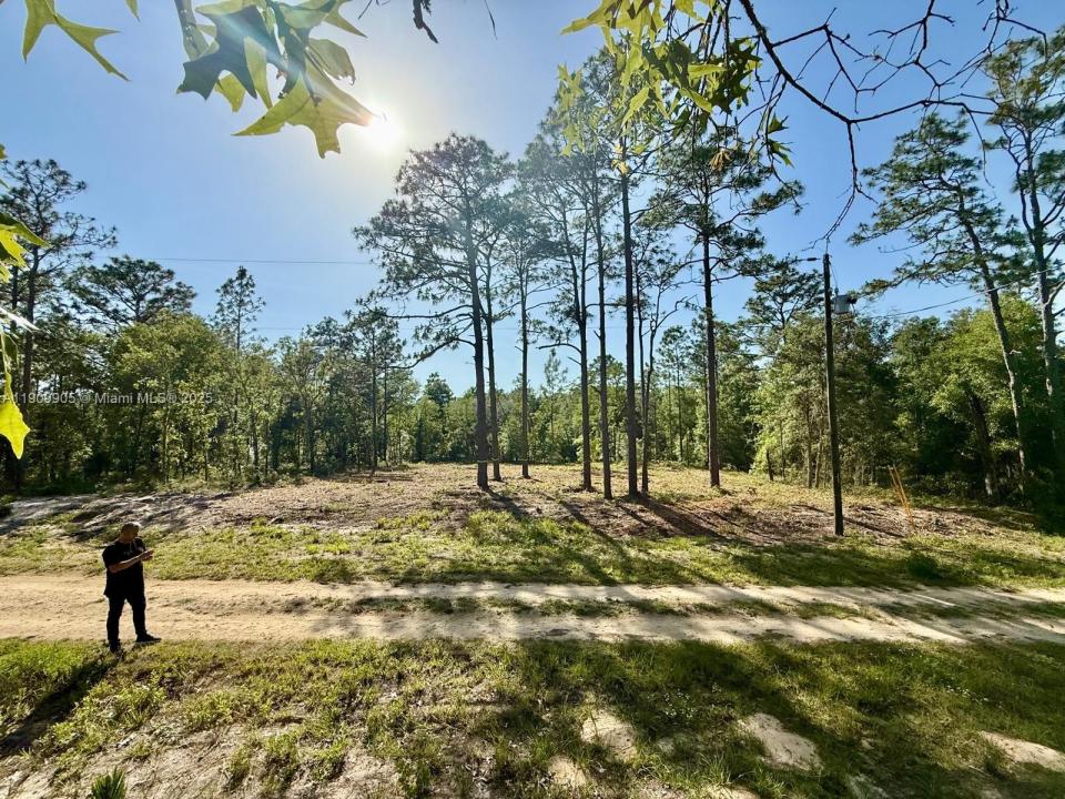 0 NW 157th Ave, Williston, フロリダ 32696, アメリカ合衆国