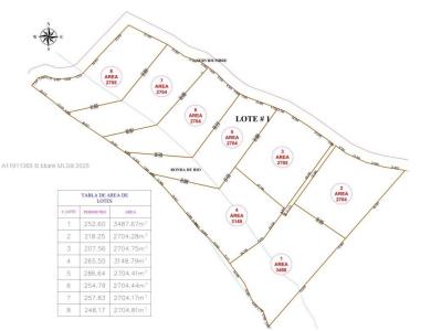 vereda LA RECTA EL PALMAR del municipio de SOPET, Florida 051440, USA