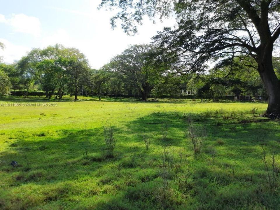 vereda LA RECTA EL PALMAR del municipio de SOPET, 플로리다 051440, 미국