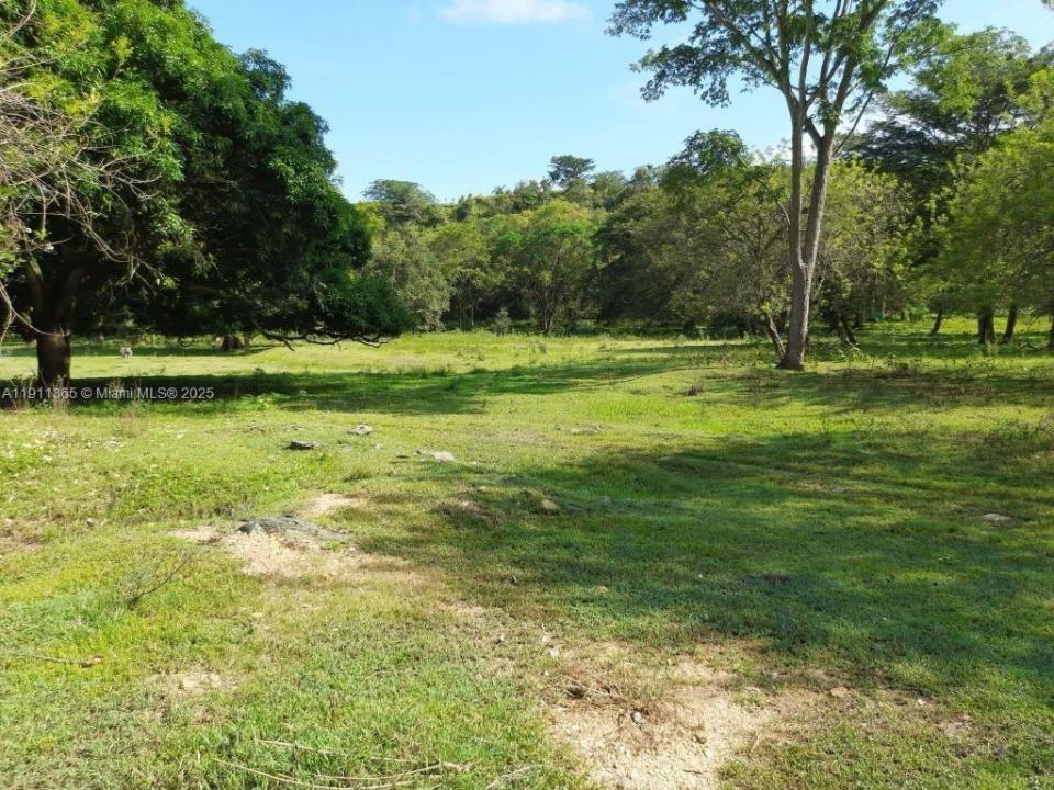 vereda LA RECTA EL PALMAR del municipio de SOPET, 플로리다 051440, 미국