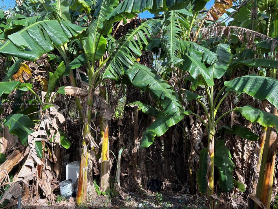 3691 SW 60th Ter, Miramar, 佛羅里達州 33023, 美國