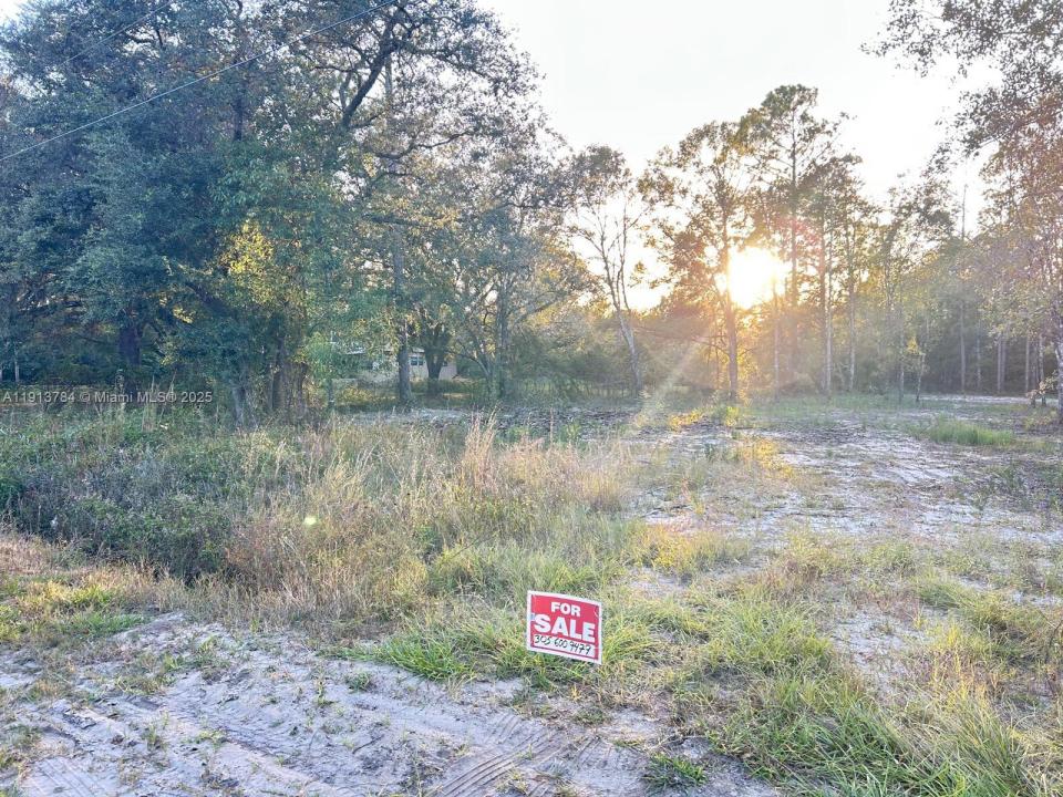 9855 LIGHT AVE, Other City - In The State Of Florida, Floride 32145, États-Unis