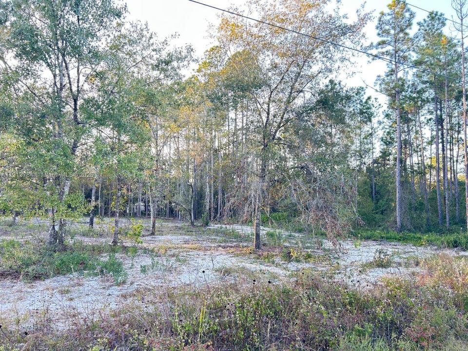 9855 LIGHT AVE, Other City - In The State Of Florida, Floride 32145, États-Unis