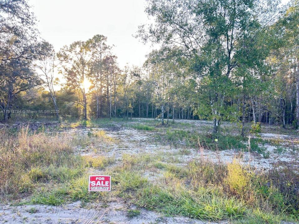 9855 LIGHT AVE, Other City - In The State Of Florida, Floride 32145, États-Unis