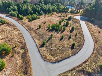 Marsh Road, Fallsburg, New York 12733, Stati Uniti