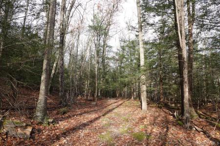 738 Manorville Road, Saugerties, Nova Iorque 12477, Estados Unidos