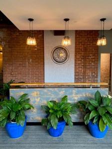 1 Richmond Square 132C, Providence, 罗得岛 02906, 美国