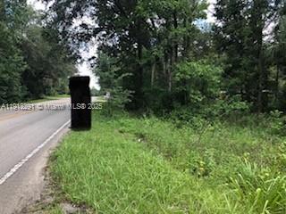 19220 N N Highway 329, Florida 32667, USA