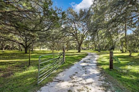 26250 Blackjack St, Brooksville, 플로리다 34601, 미국