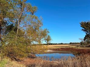 FM 1653, Ben Wheeler, Texas 75754, HOA KỲ