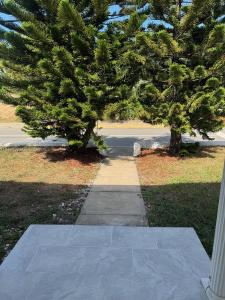 46 S OLEANDER AVE, Daytona, 佛羅里達州 32118, 美國