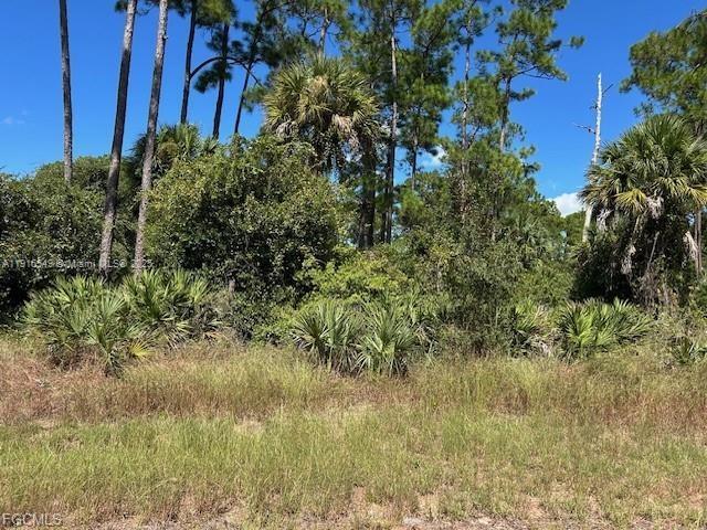 675 NASSAU CIR, La Belle, Floride 33935, États-Unis