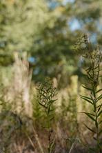 Lot 16 Private Road 5948, Yantis, Texas 75497, USA