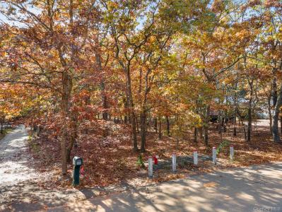 38 Wooded Oak Lane, East Hampton, 뉴욕 11937, 미국